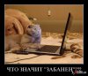 ai018.radikal.ru_1110_89_6f55097e81f1.jpg
