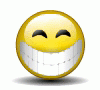 ai.smiles2k.net_big_smiles_big_smiles_256.gif