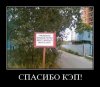 as018.radikal.ru_i510_1202_1b_074797fc375e.jpg