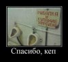 ai052.radikal.ru_1202_33_17468e2ca4b6.jpg