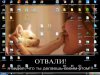 as57.radikal.ru_i155_1202_19_38cb4e7f8eb9.jpg