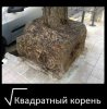 acs320116.vk.me_v320116480_32e_YP8nK32X_Zc.jpg