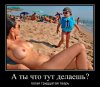 голая сорка.jpg