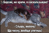 2016-05-19_17-42-05.png