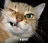 2016-06-01_13-12-57.png