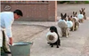 2016-08-16_17-20-23.png