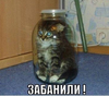 2016-09-25_11-29-44.png