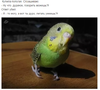 2016-10-09_15-23-10.png