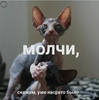 2016-10-24_17-41-09.png