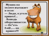 2016-10-31_16-11-24.png