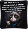 2016-10-31_16-15-24.png