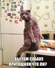 2016-11-05_19-00-44.png