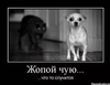 2016-11-26_18-23-04.png