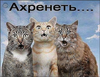 2016-12-01_17-16-56.png