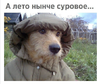 2018-06-08_11-11-40.png