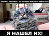 2018-06-12_08-13-16.png