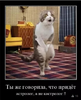 2018-10-06_18-25-39.png