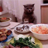 2018-10-21_17-10-22.png