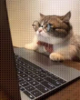 5767