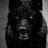 Kirill_DonBass*