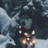 Dogger