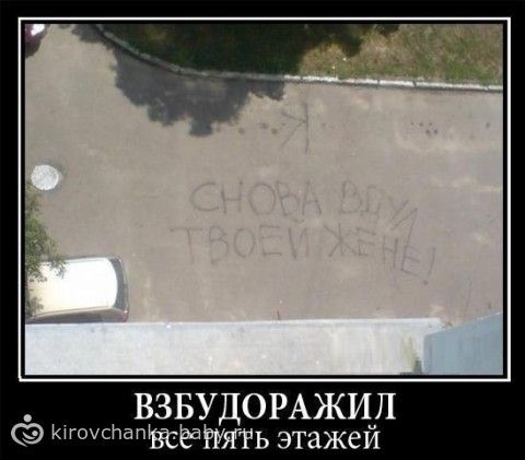 13352349.133988896.jpeg