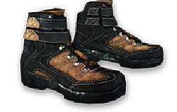 priz-01.png