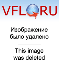 24787611.png